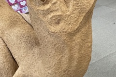 1003007